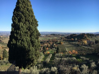 Hills on Wheels, Vespa Tour of Florentine Hills